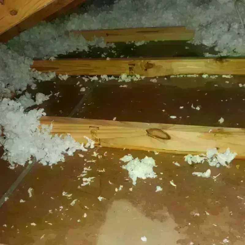 Attic Water Damage in Clinton, AR