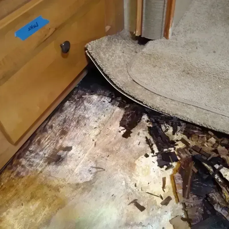 Wood Floor Water Damage in Clinton, AR